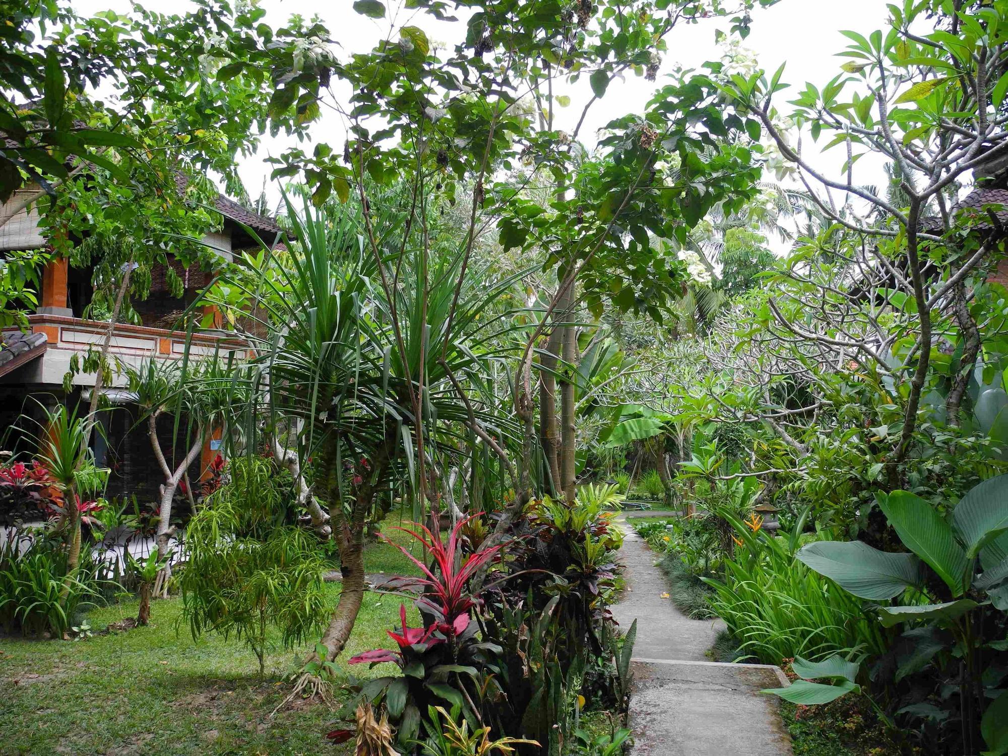 Recep Bungalow Ubud Exteriér fotografie