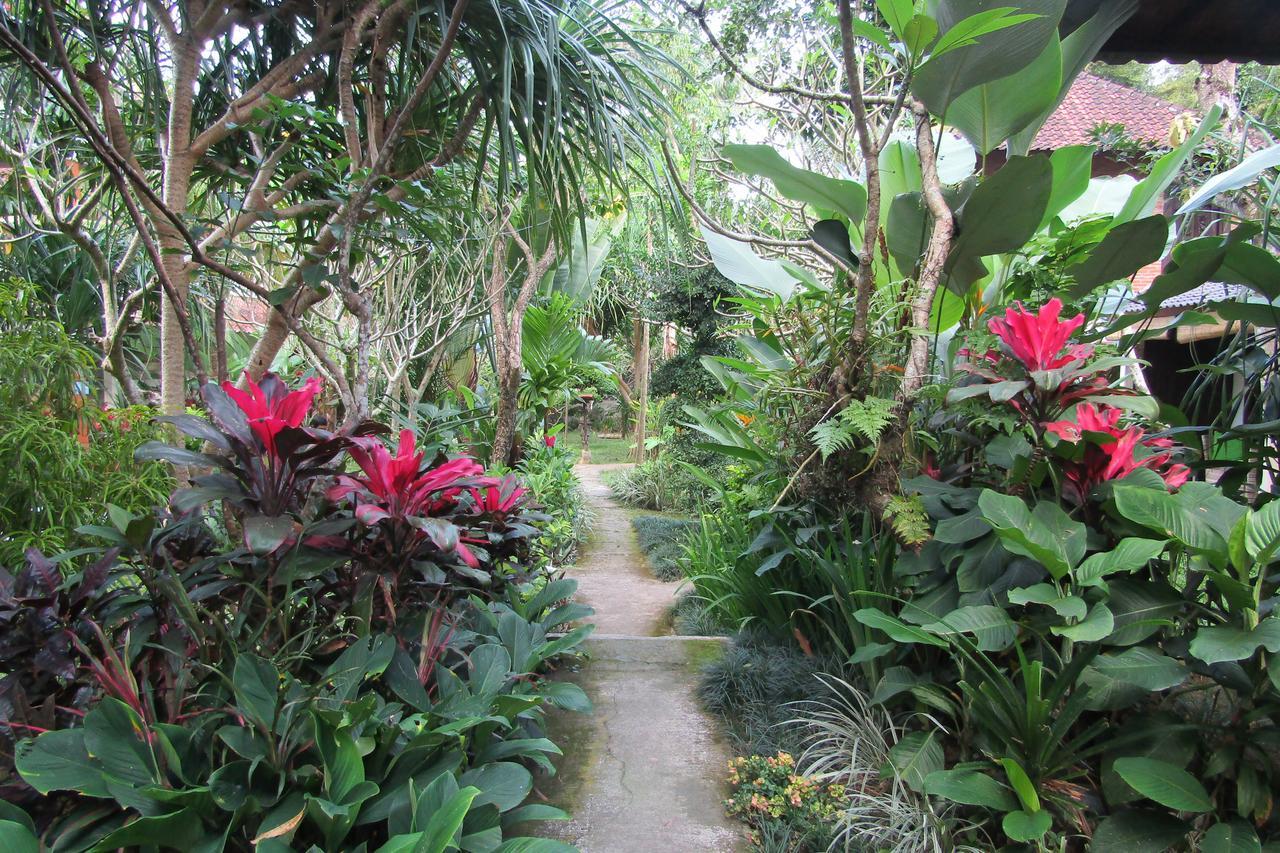 Recep Bungalow Ubud Exteriér fotografie